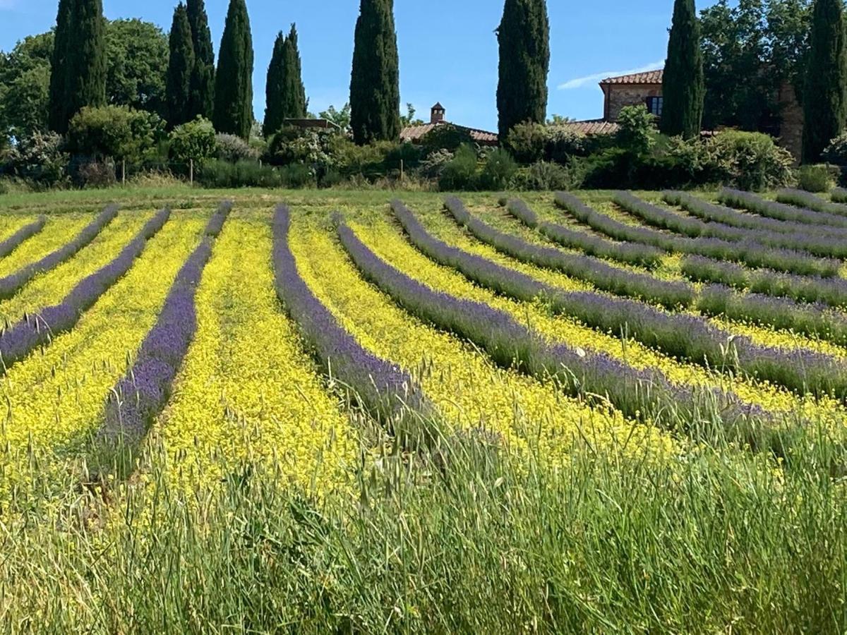 Agriturismo Pometti - Fattoria La Selva เตรกวานดา ภายนอก รูปภาพ