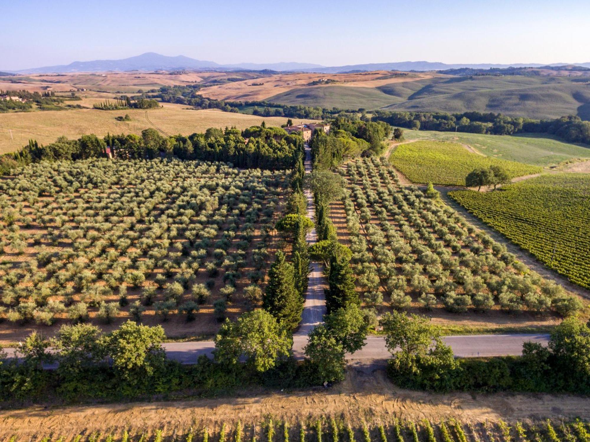Agriturismo Pometti - Fattoria La Selva เตรกวานดา ภายนอก รูปภาพ