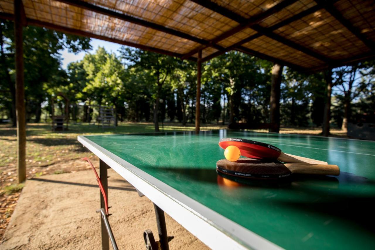Agriturismo Pometti - Fattoria La Selva เตรกวานดา ภายนอก รูปภาพ