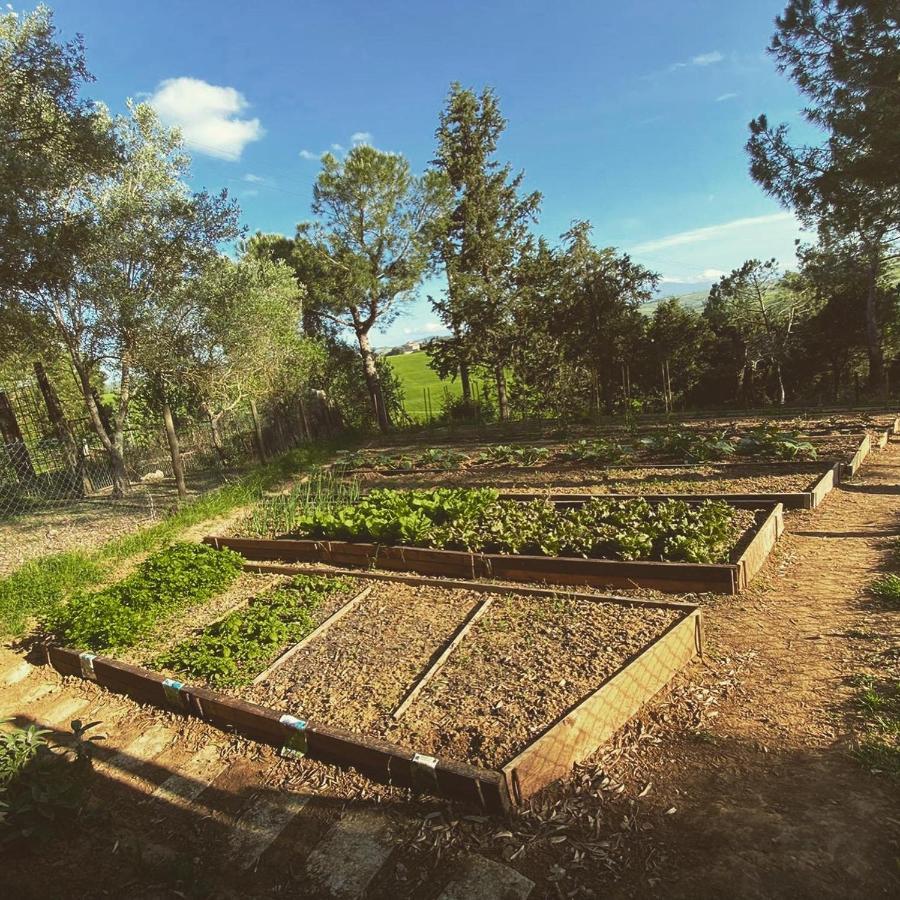 Agriturismo Pometti - Fattoria La Selva เตรกวานดา ภายนอก รูปภาพ